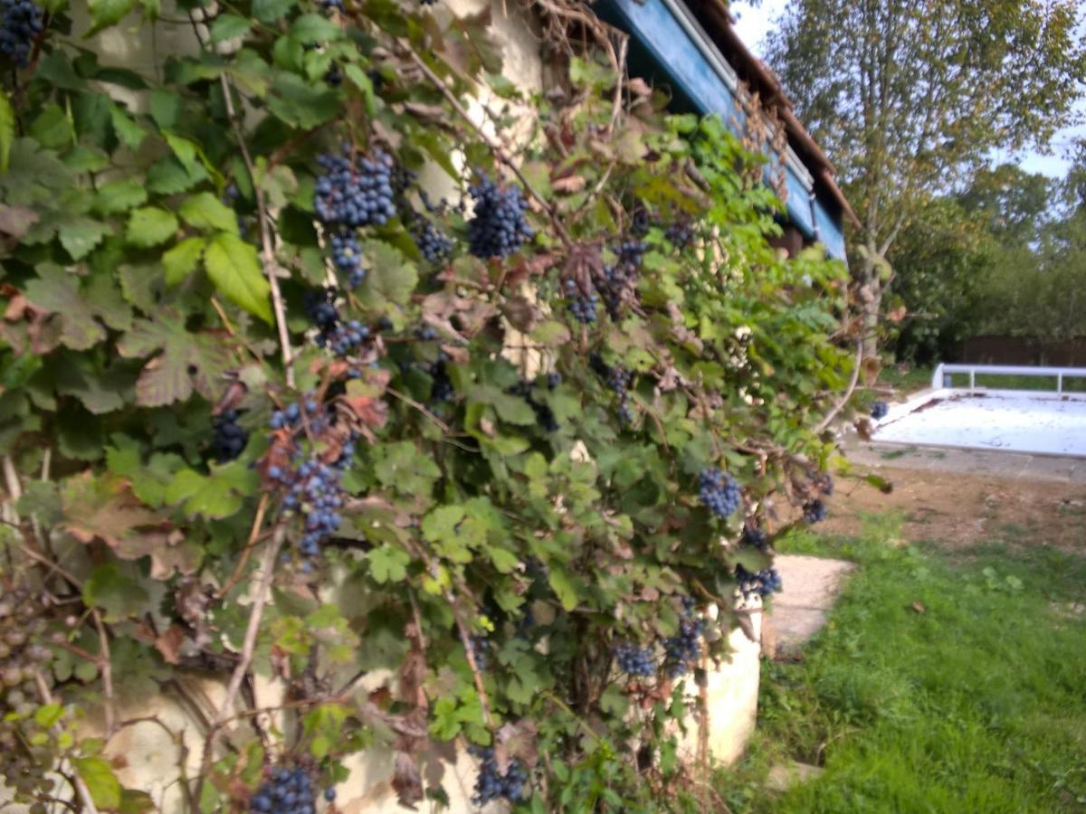 Nicely Renovated Wine-Grower House Fargues-Saint-Hilaire Екстер'єр фото